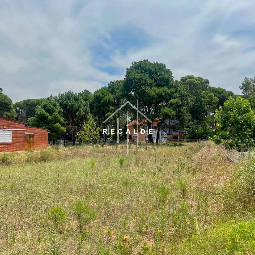 Lote Las Dalias - Costa Del Este