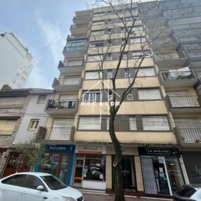 MONOAMBIENTE DIVISIBLE RECICLADO A NUEVO EN MAR DEL PLATA