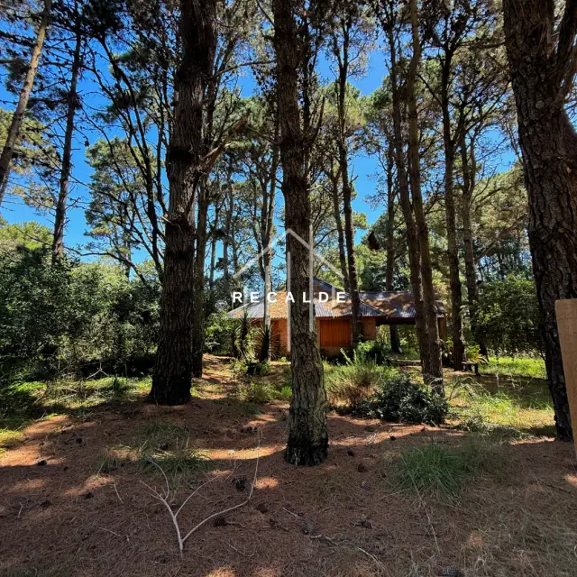 Lote Costa Del Este