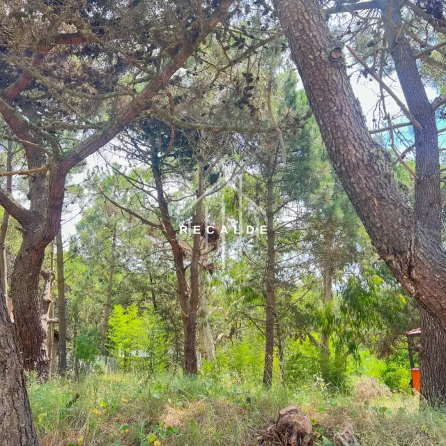 Lote Las Rosas - Costa Del Este